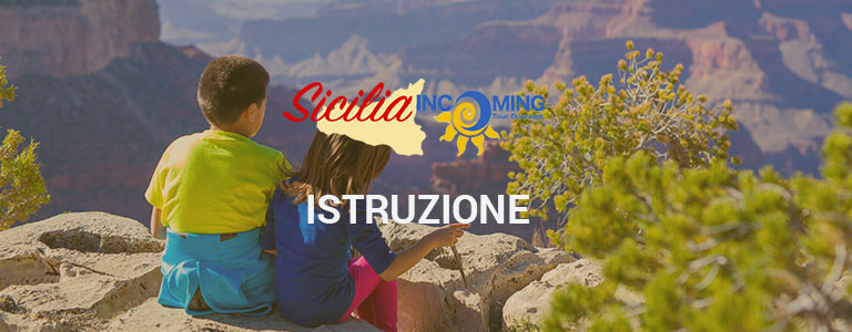 istruzione-card