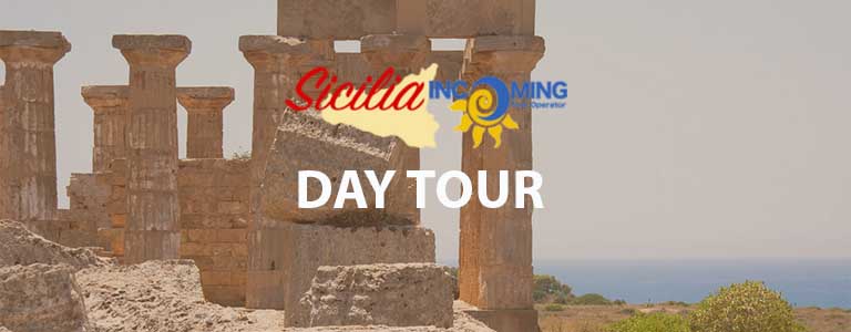 day-tour-11100f